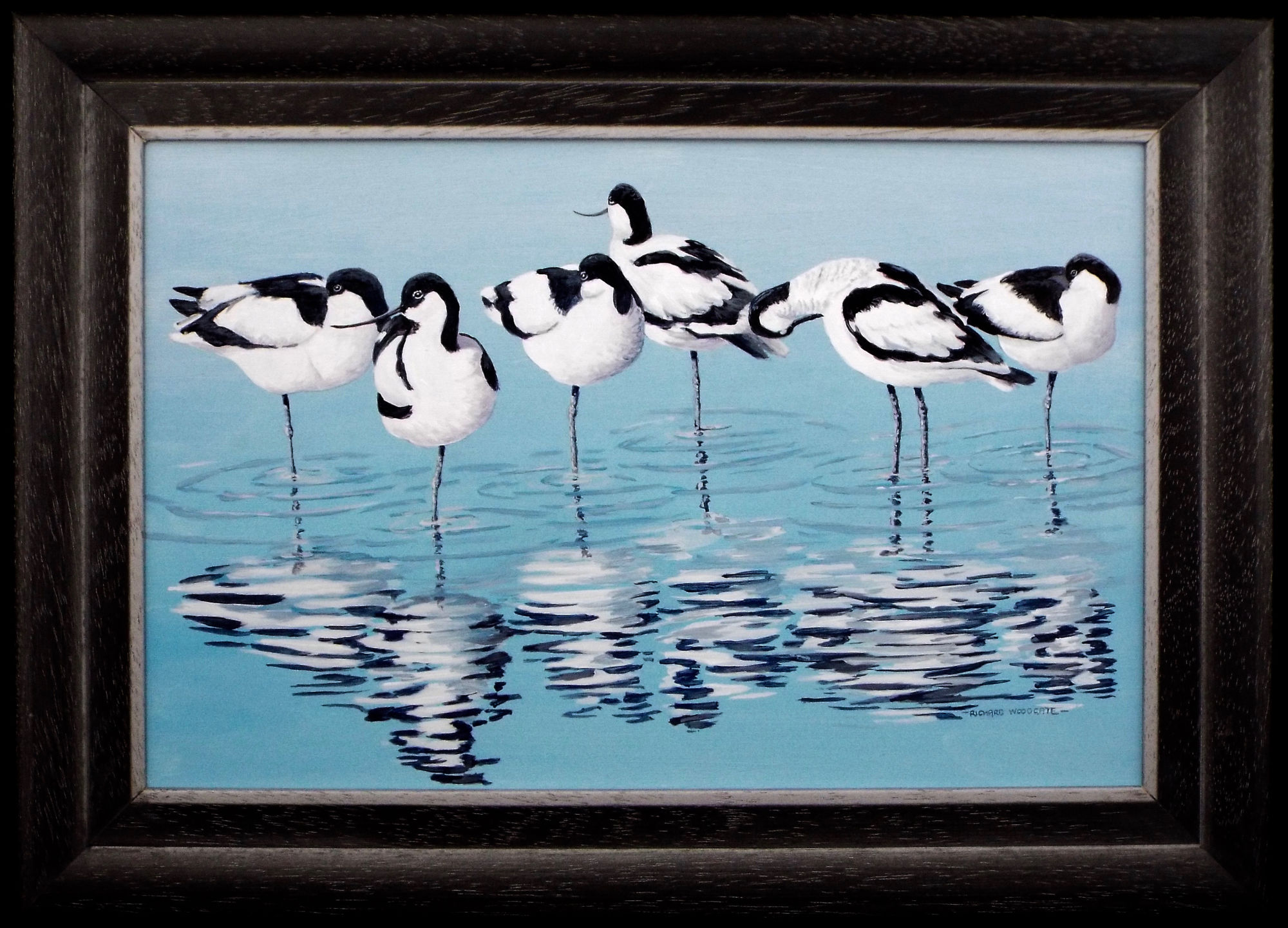 Avocet Reflections by Richard Woodgate.