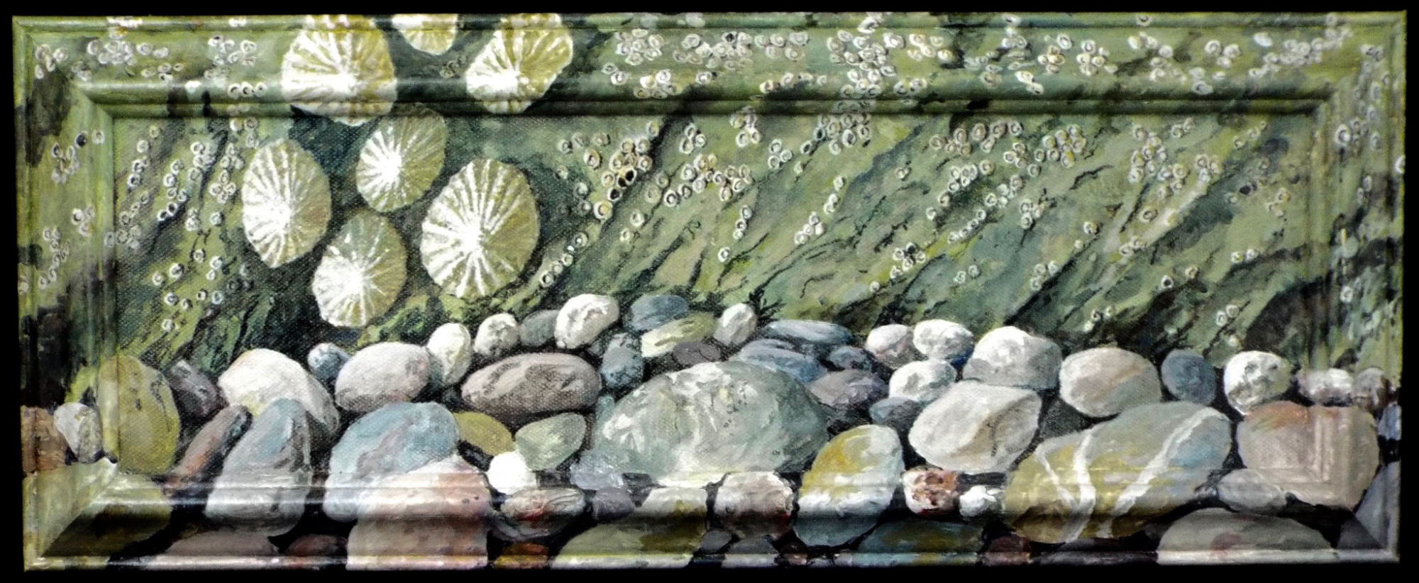 Limpets and Barnacles by Richard Woodgate.